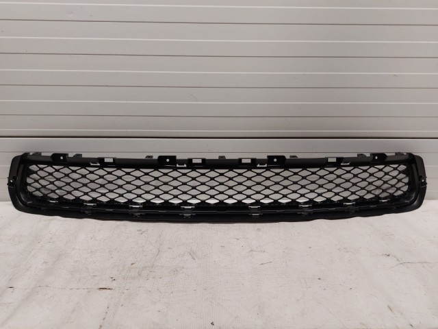 Lower Grille